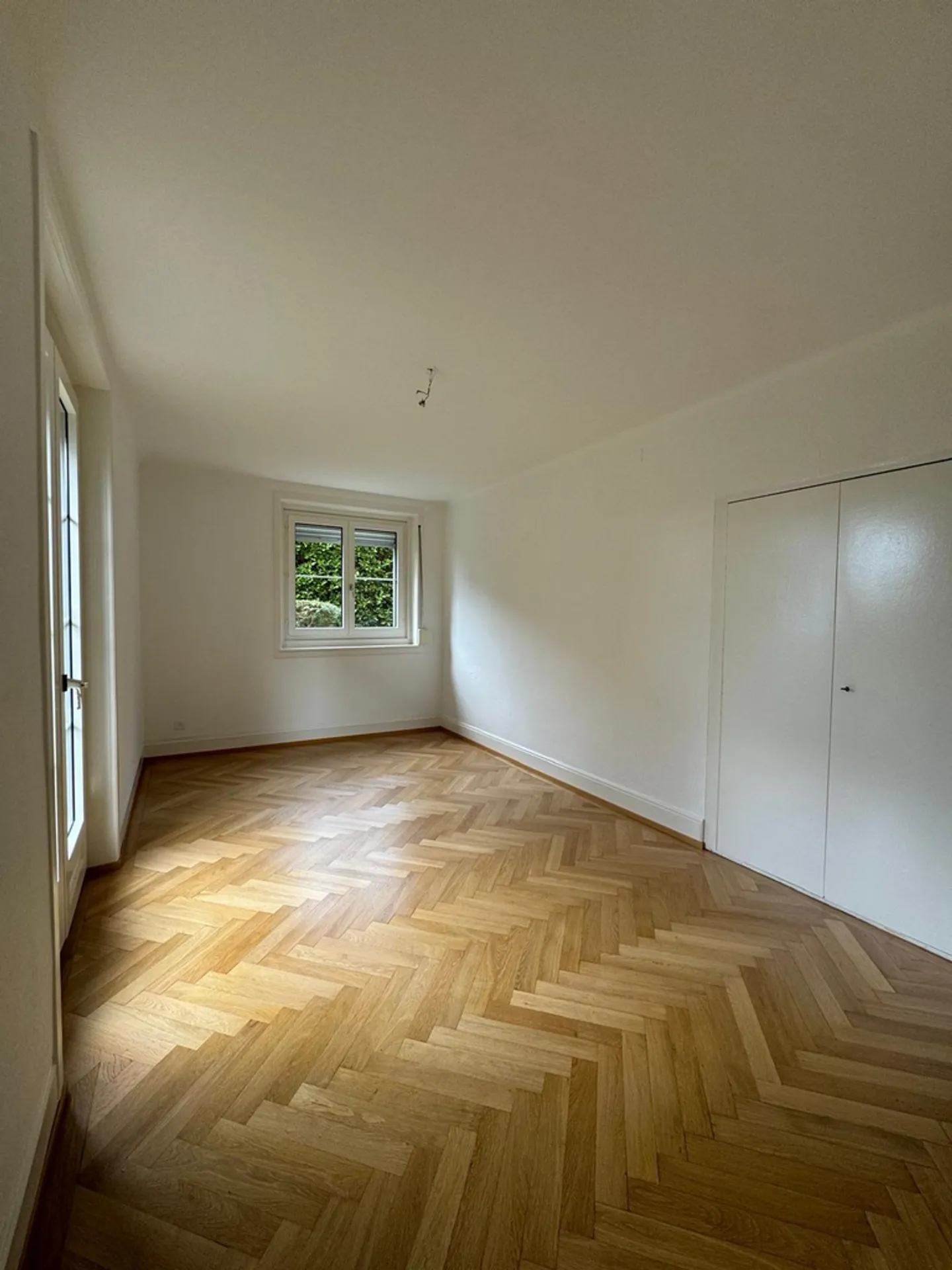 2.5 Room Apartment - Photo 4 of 7