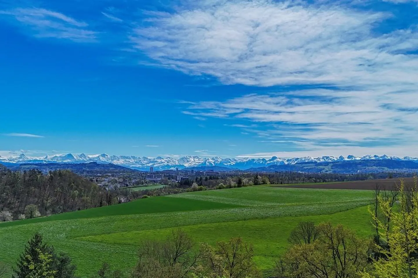Stilvolle Villa für Temporäres Wohnen - Foto 3 von 13