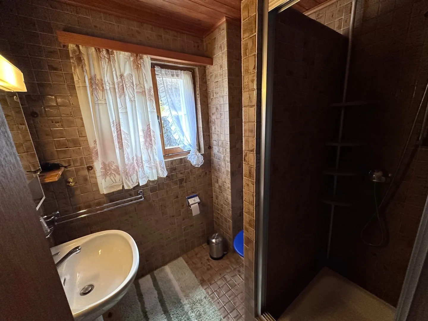 For Sale Beautiful 4.5 Room Apartment at the Portes du Soleil in Morgins - Photo 7 of 11