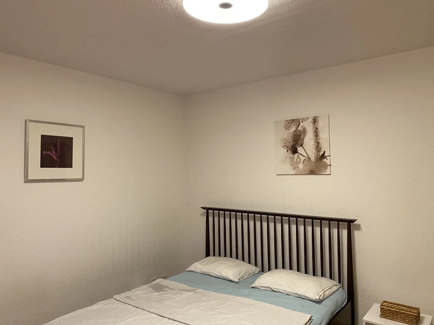 Furnished Apartment in Zurich - Photo 8 of 13