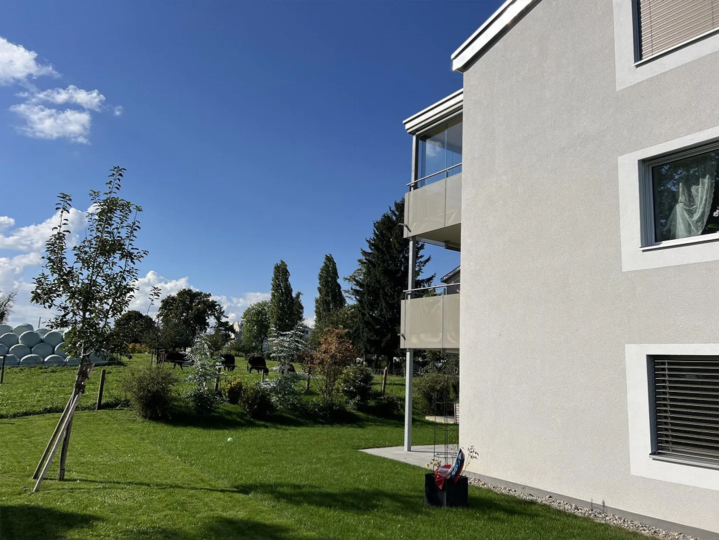 Vivere in modo tranquillo e soleggiato, adiacente alla zona agricola! - Foto 4 di 30