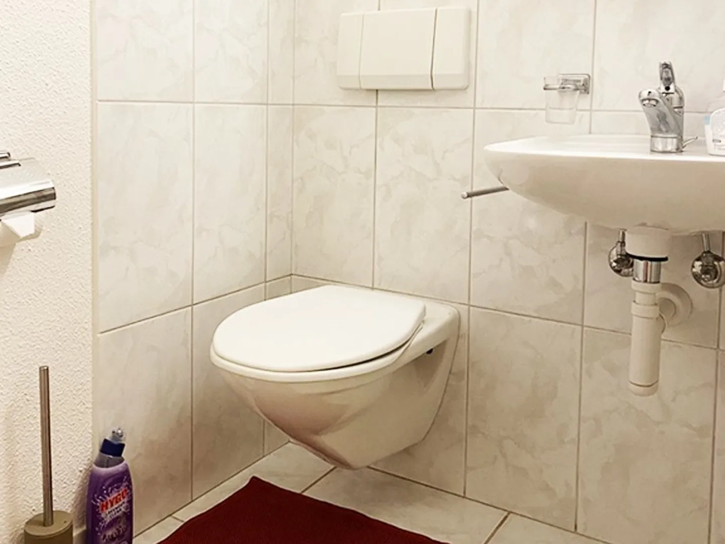 Furnished Apartment in Zurich - Photo 12 of 13