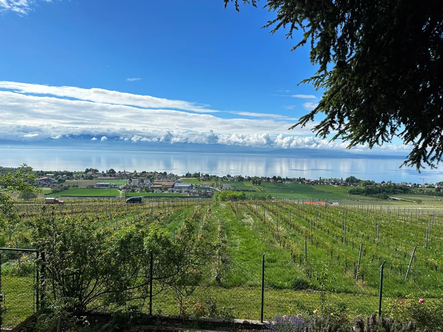 Extraordinary property in the heart of the village with a view of the lake - Photo 2 of 14