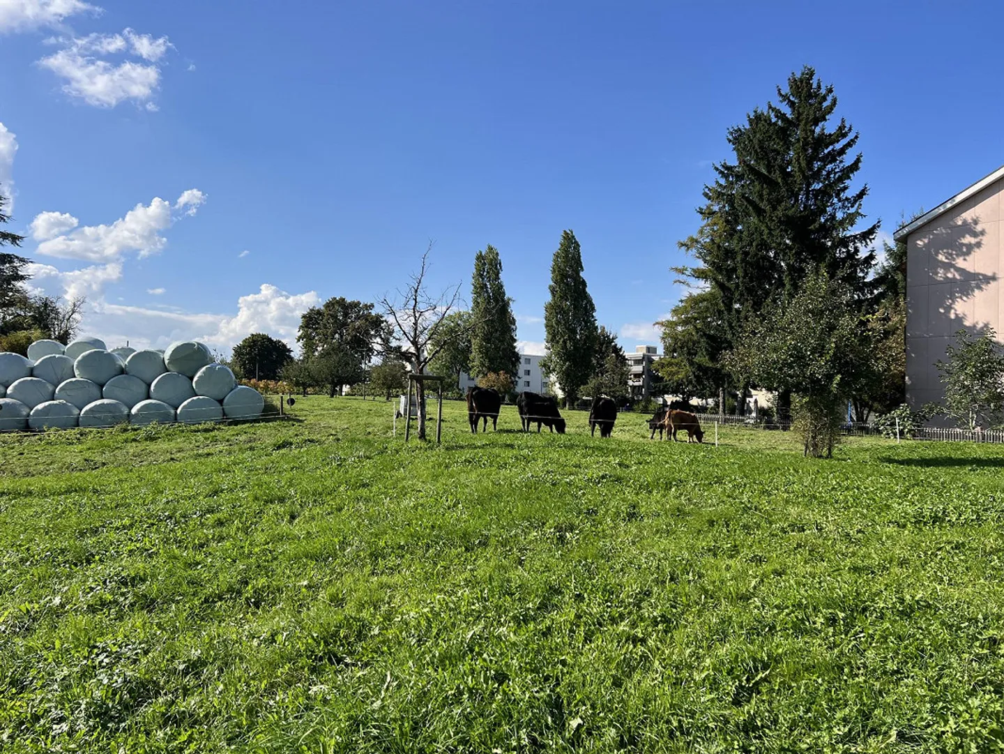 Vivere in modo tranquillo e soleggiato, adiacente alla zona agricola! - Foto 22 di 30