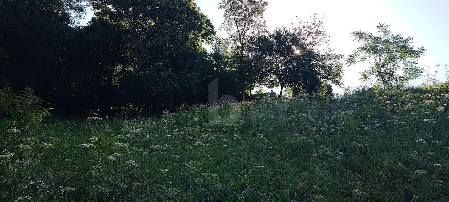 BUILDING LAND WITH OPEN VIEW - Photo 4 of 5