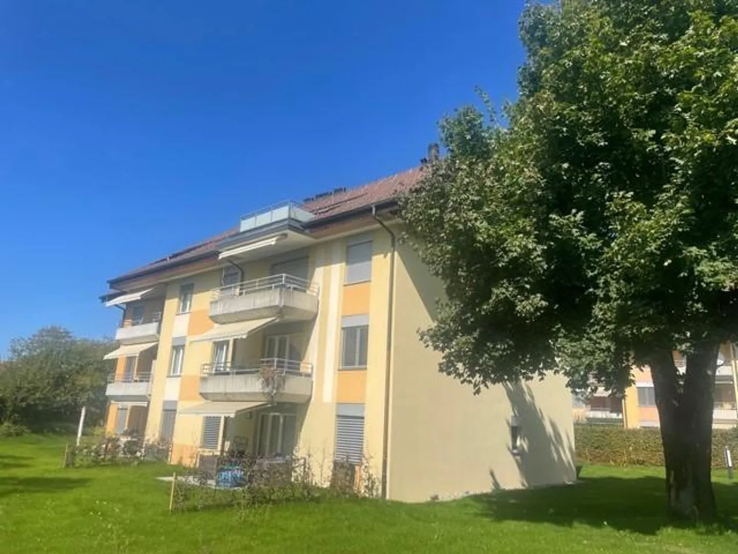 Appartement 3.5 pièces à Tann / limité jusqu'au 30 septembre 2027 - Photo 1 sur 7