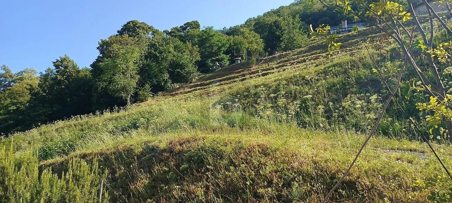 TERRAIN CONSTRUCTIBLE AVEC VUE OUVERTE - Photo 3 sur 5