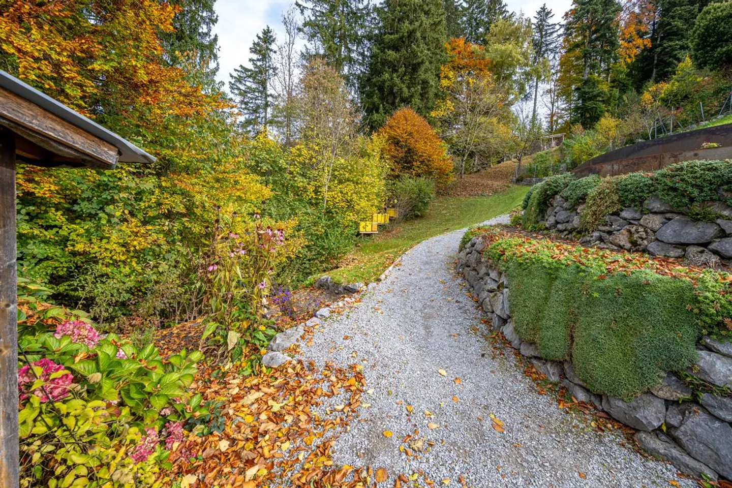 Vivere nel verde - Incantevole casa unifamiliare con area boschiva privata - Foto 4 di 30