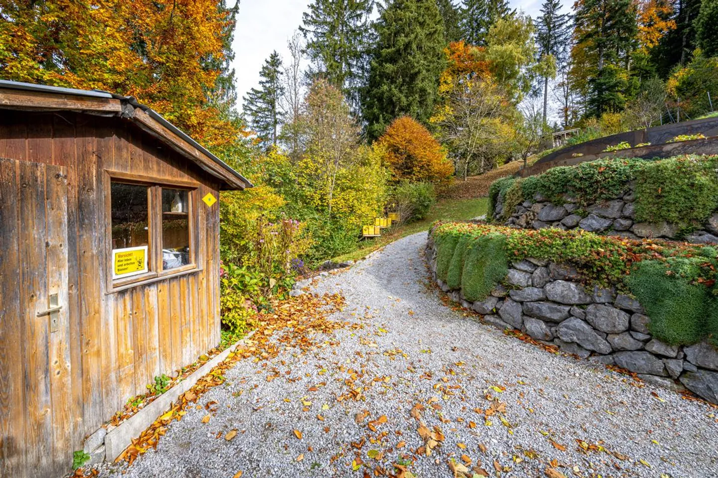 Vivere nel verde - Incantevole casa unifamiliare con area boschiva privata - Foto 5 di 30