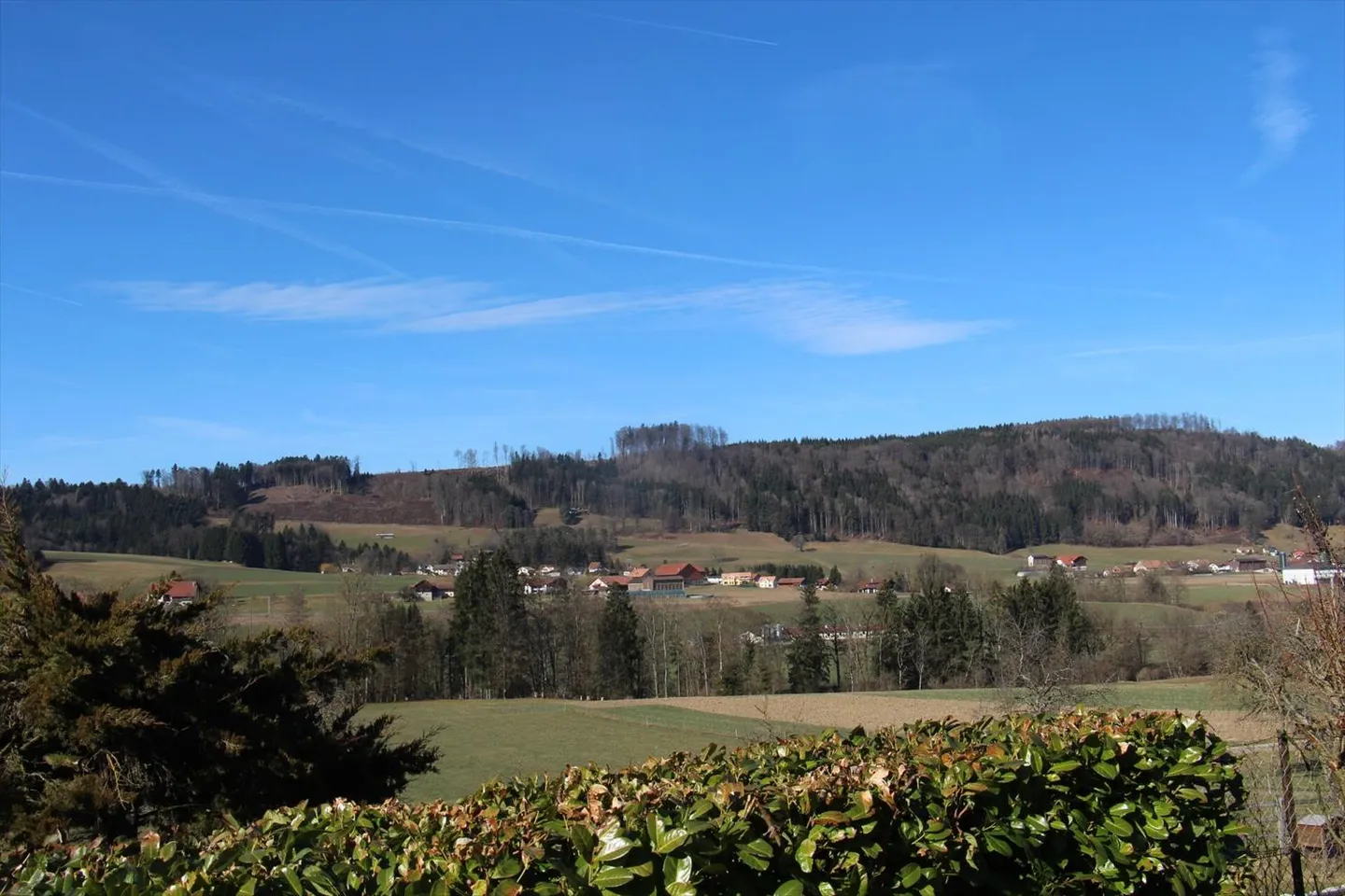 Appartamento di 3,5 stanze - Foto 2 di 2