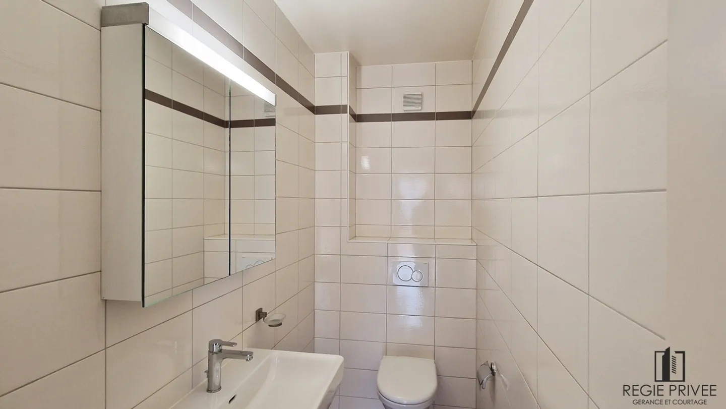 Apartment with 4.5 rooms, renovated and bright - Photo 9 of 9