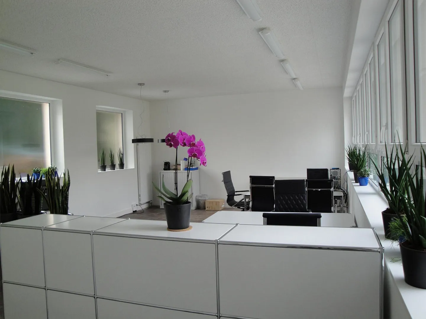 Beautiful, centrally located office for rent - Photo 1 of 5