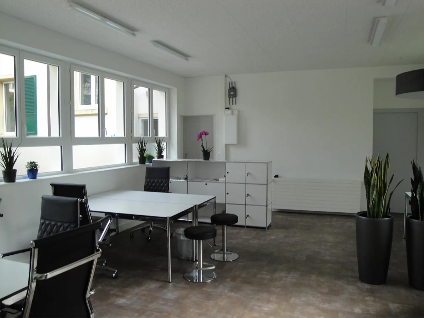 Beautiful, centrally located office for rent - Photo 2 of 5