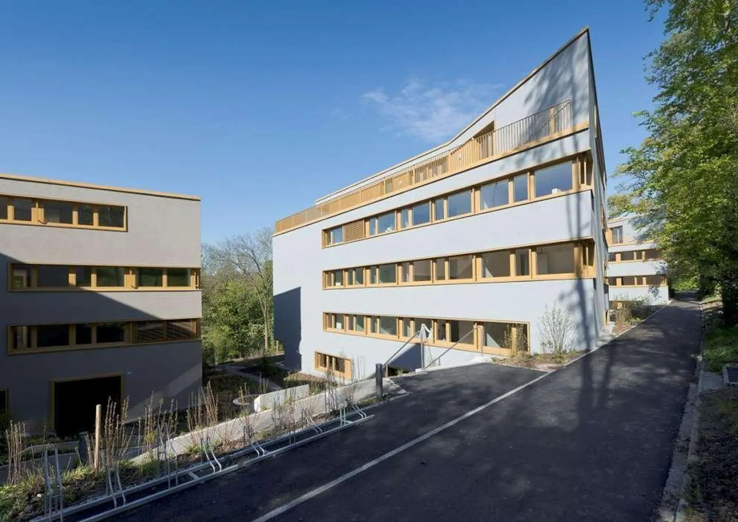 Charmante Wohnung an der Limmat - Foto 1 von 9