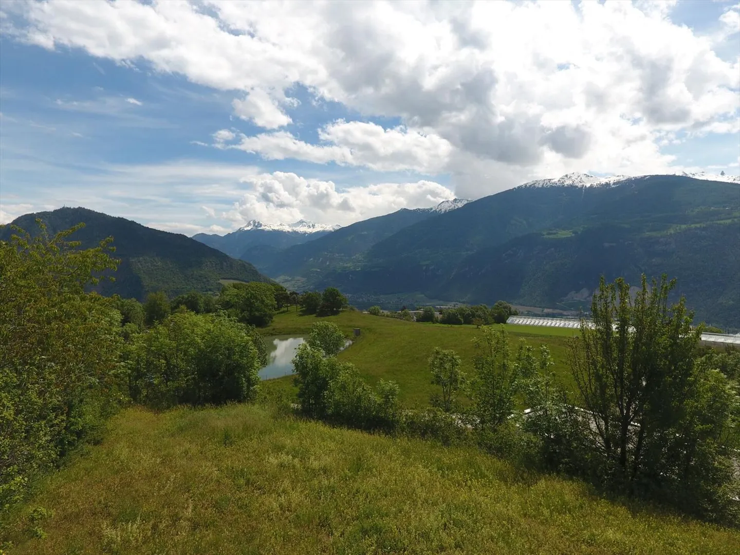 5.5 Room House - Photo 6 of 6