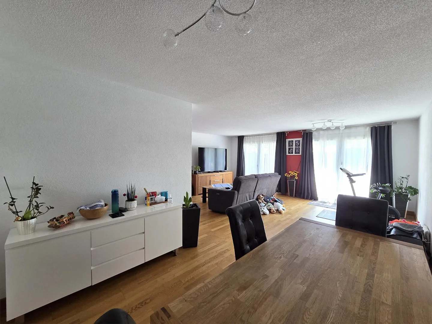 Directement sur le Rhin - Photo 4 sur 12