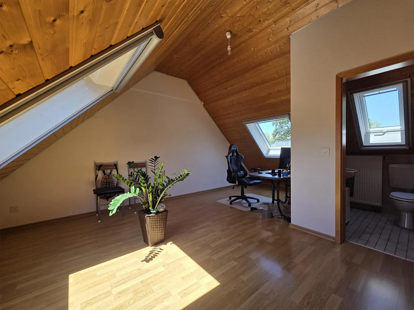 Directement sur le Rhin - Photo 8 sur 12