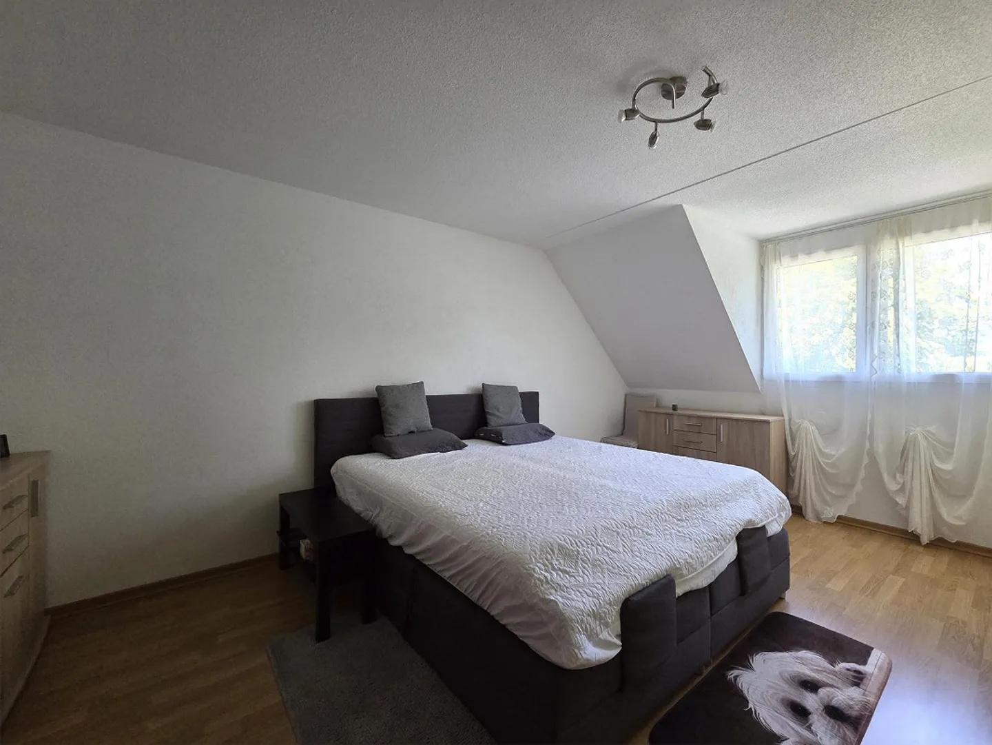 Directement sur le Rhin - Photo 6 sur 12