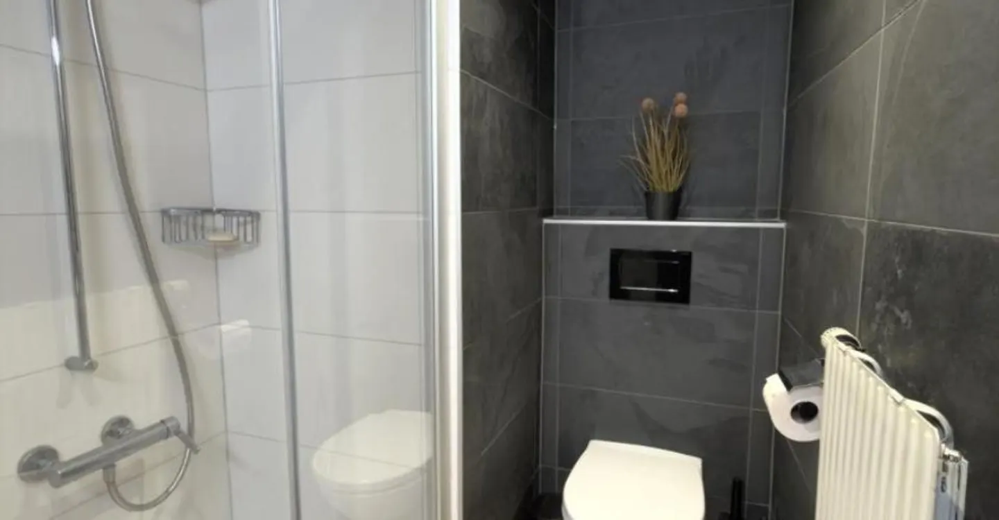 Superb 2.5 room duplex for rent seasonally or annually - Photo 3 of 8