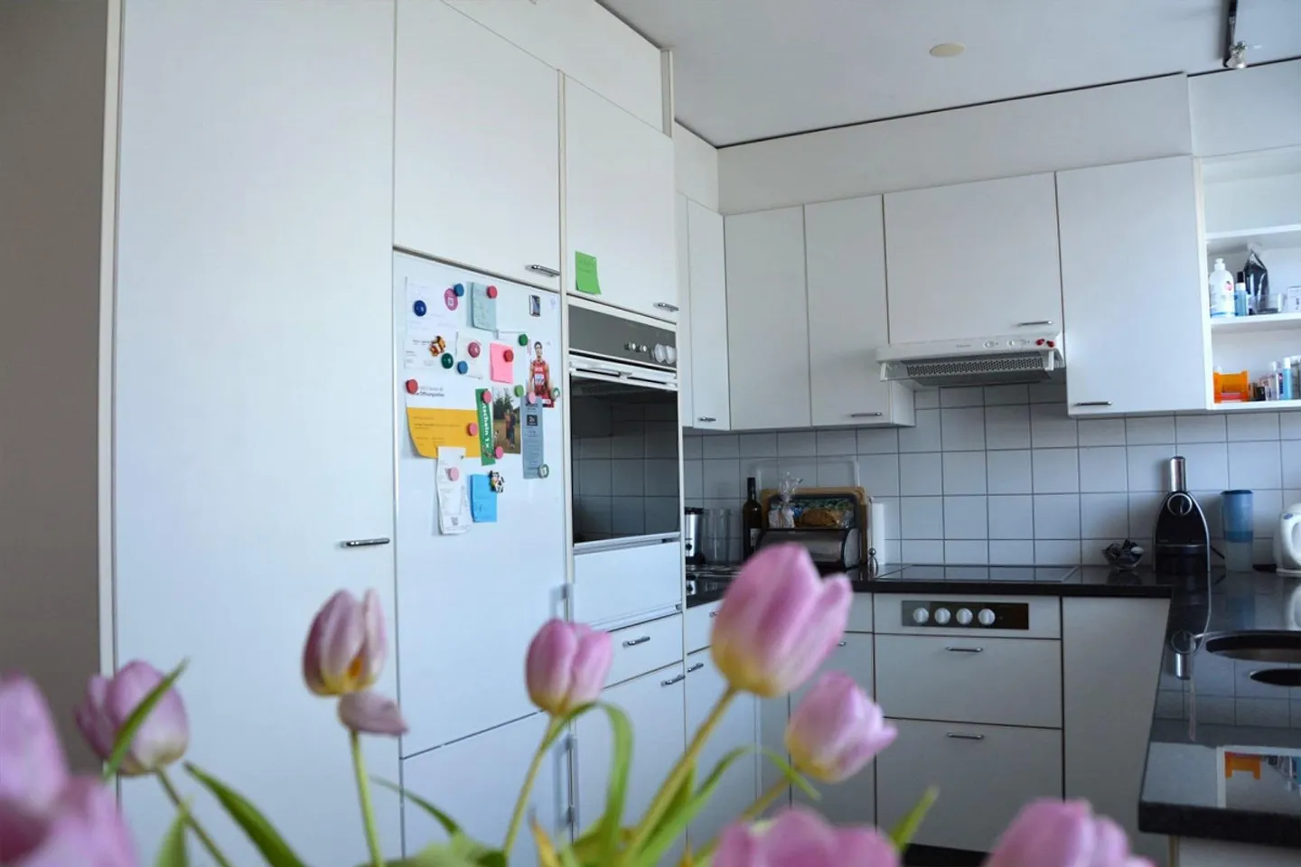 Appartamento duplex attraente con vista unica sull'Alpstein - Foto 14 di 30