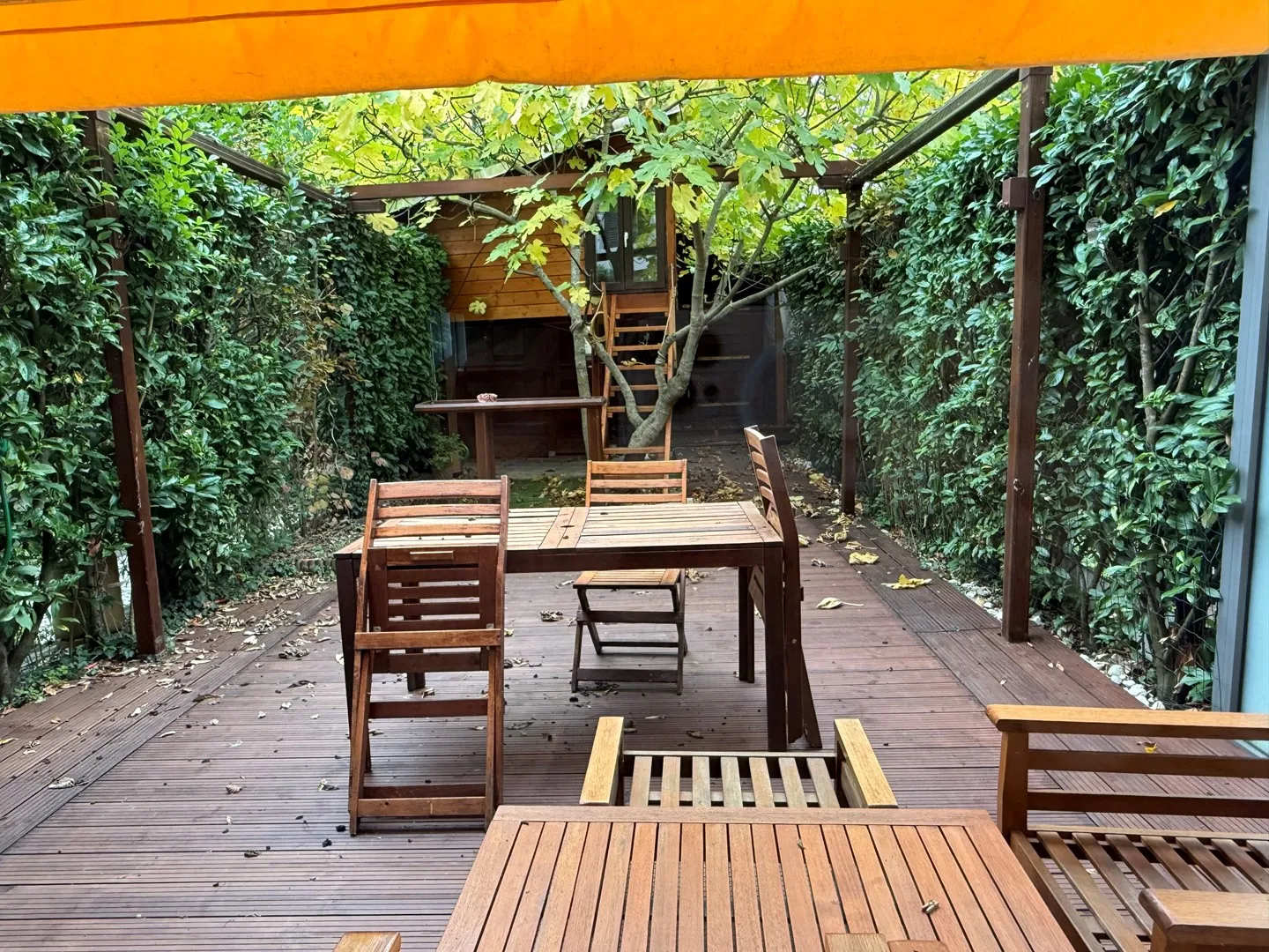Casa a gradini in affitto - Foto 1 di 19