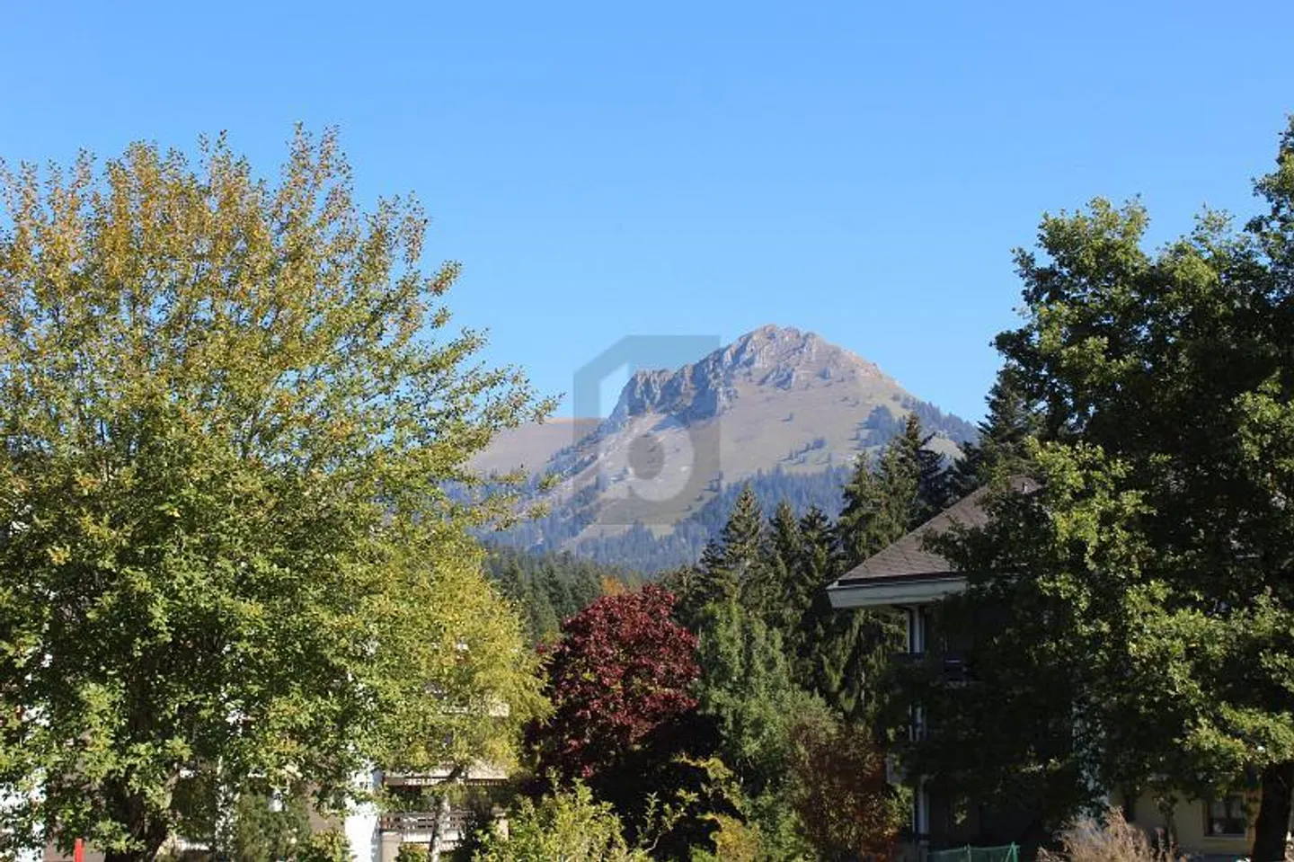 CON UN ENORME POTENZIALE, MOLTO BEN SITUATO, SPAZIOSO - Foto 2 di 6