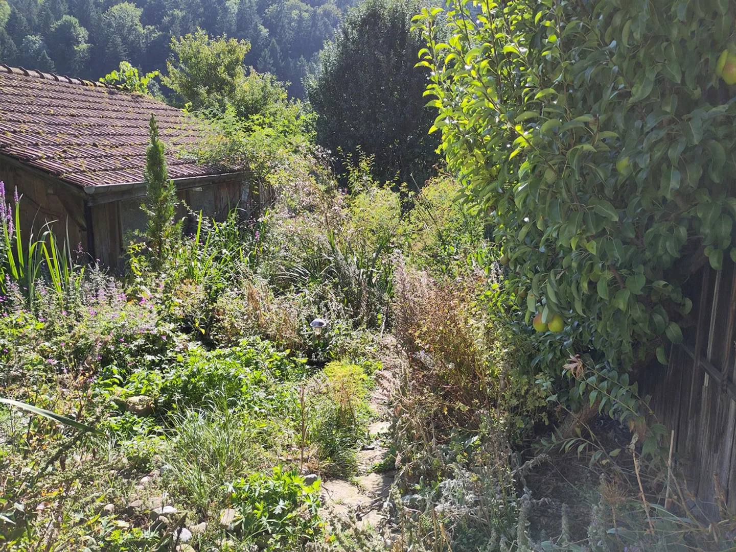 Günstige Wohnung im Bauernhaus mit grossem Naturgarten - Foto 22 di 23