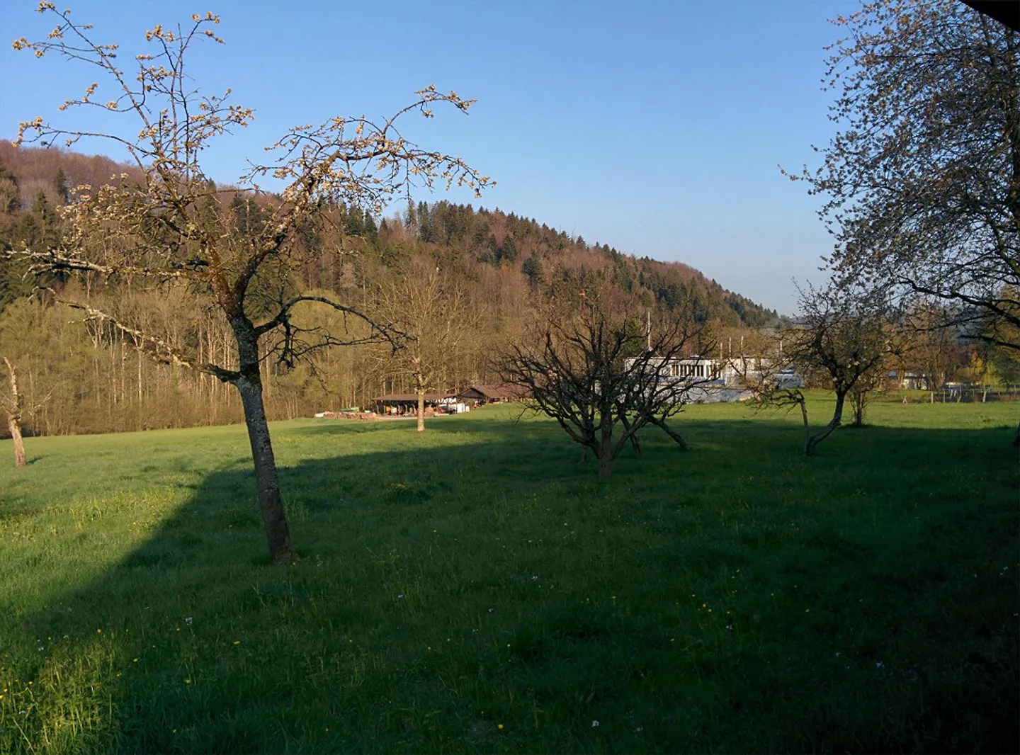 Günstige Wohnung im Bauernhaus mit grossem Naturgarten - Foto 21 di 23