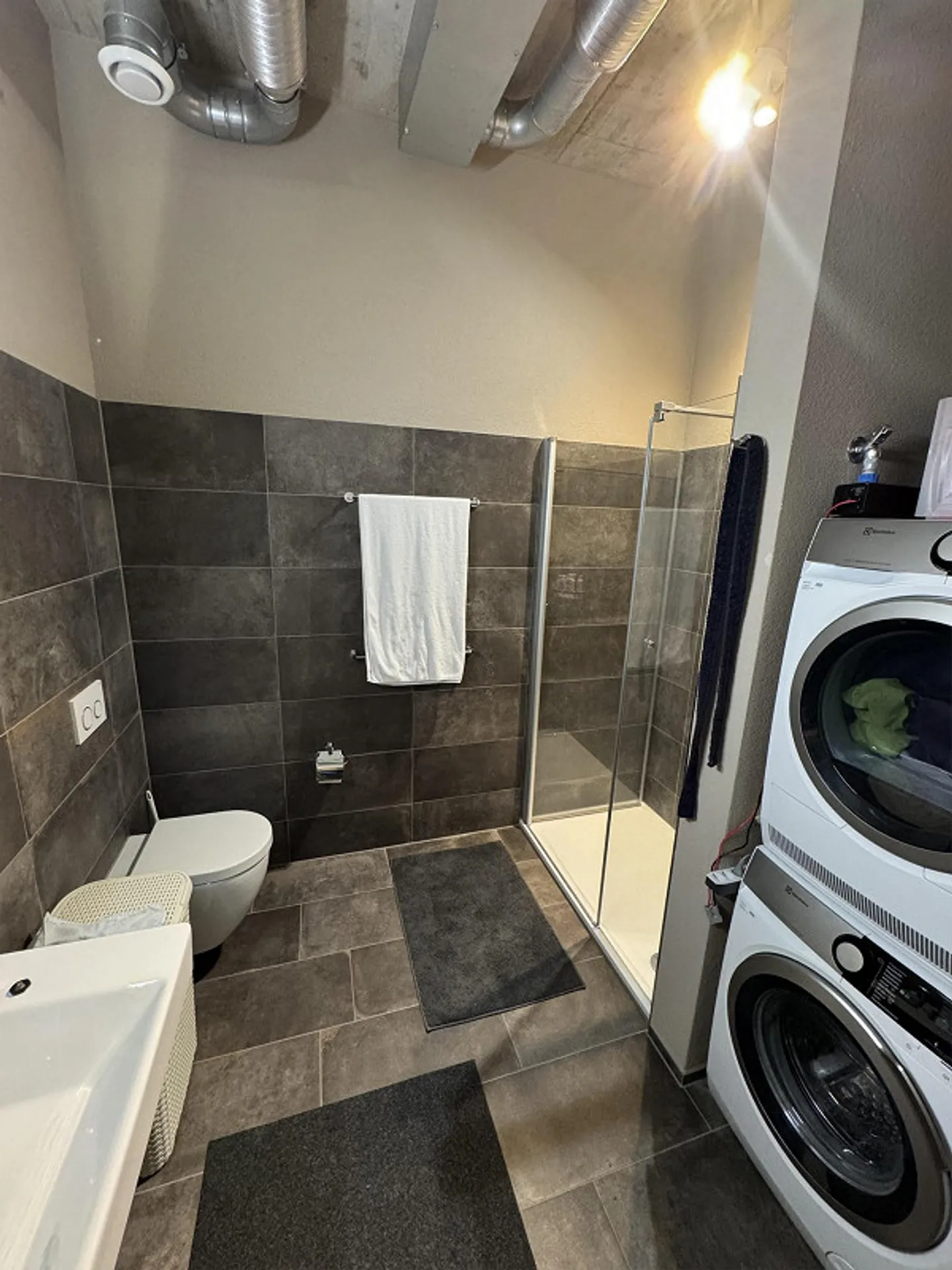 Appartement en loft au bord du lac - Photo 3 sur 5