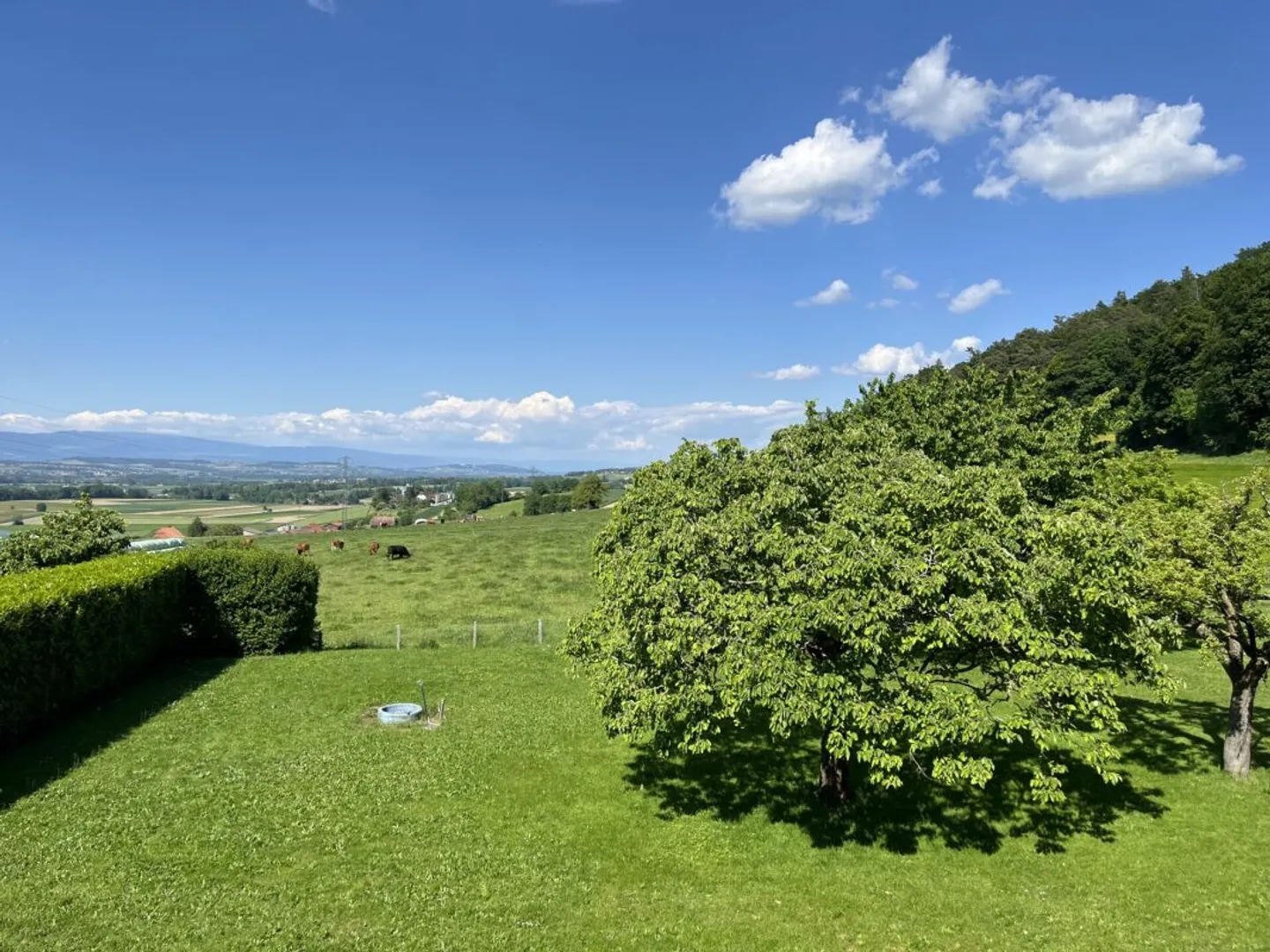 CON UN ENORME POTENZIALE, TRANQUILLO - Foto 7 di 11