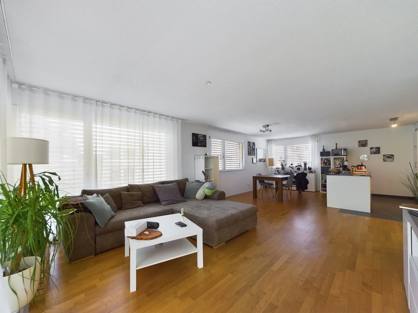 Appartamento 3.5 stanze centrale e tranquillo con vista privata sul verde - Foto 2 di 12