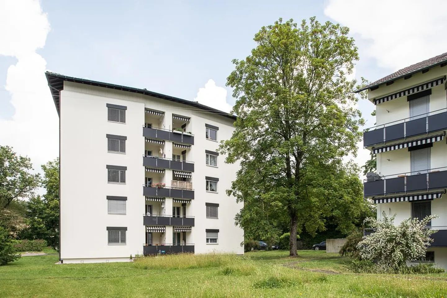 Charmante Wohnung in Grüner Lage - Foto 2 von 2