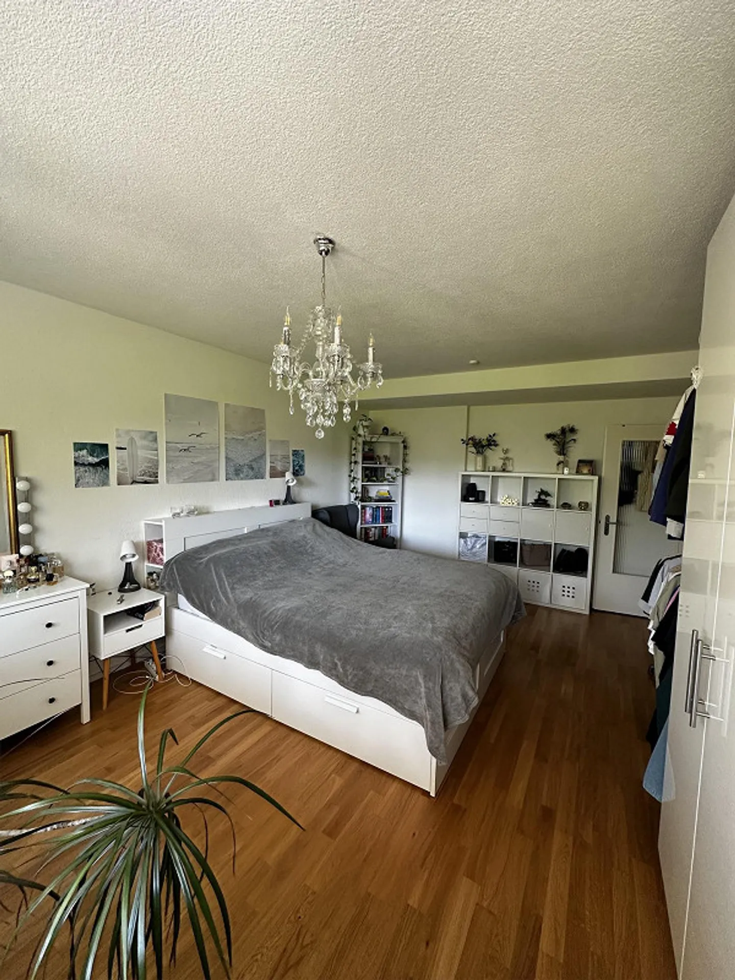 Geräumige 3-Zimmer Wohnung - Foto 10 von 11