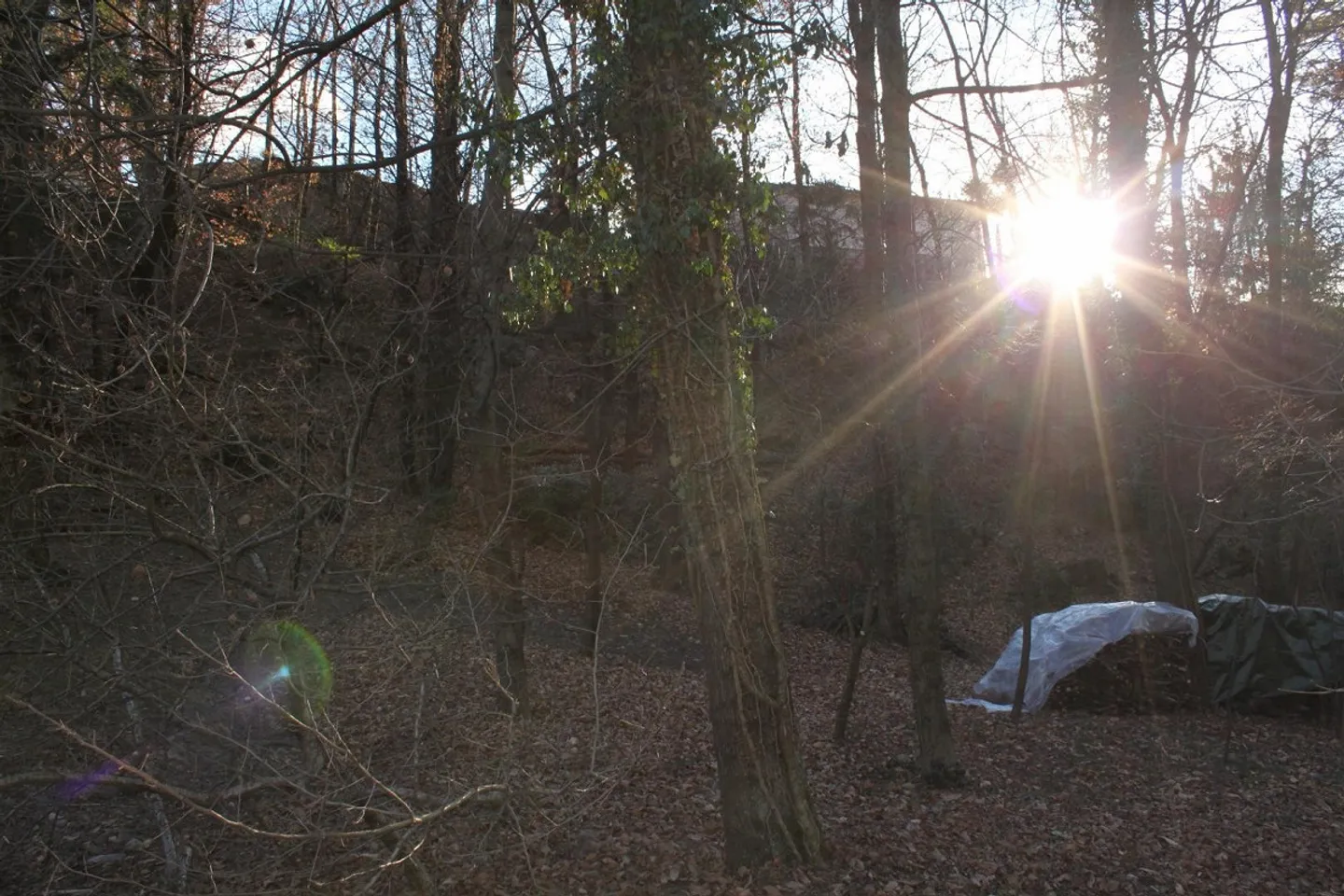 Terreno edificabile di 668m2 e 369m2 parte bosco / Baulandgrundstück von 668 m2 und 369 m2 Wald - Foto 12 di 16