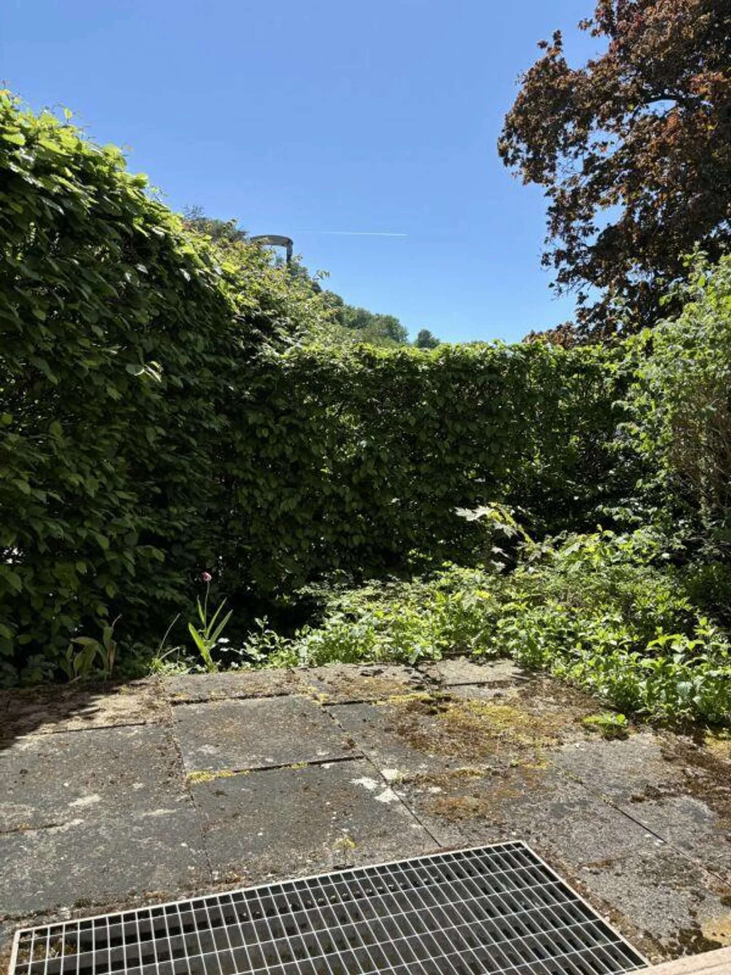 Appartement 1 pièce avec terrasse de jardin - Photo 5 sur 5