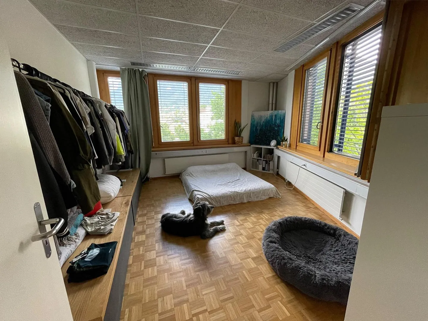Apartment in the best location - Photo 6 of 9