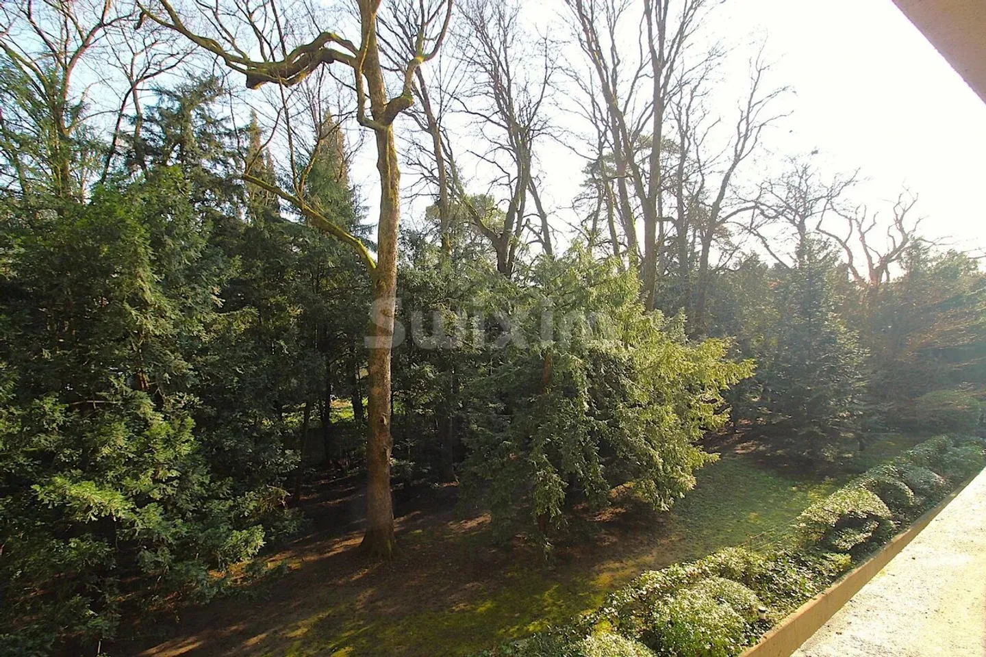 2.5 rooms ideally located - Photo 4 of 6
