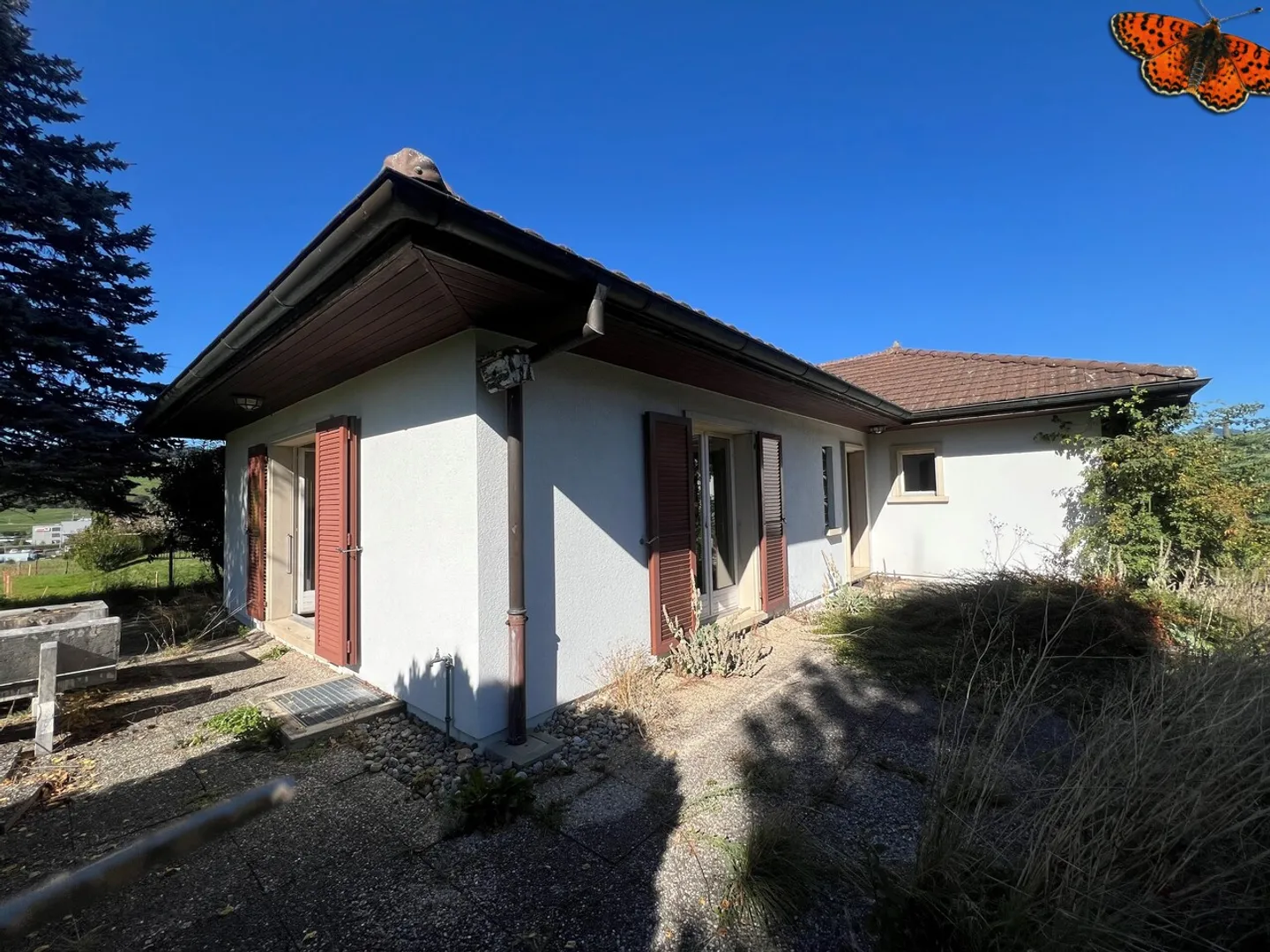 Casa singola in affitto - Foto 9 di 14