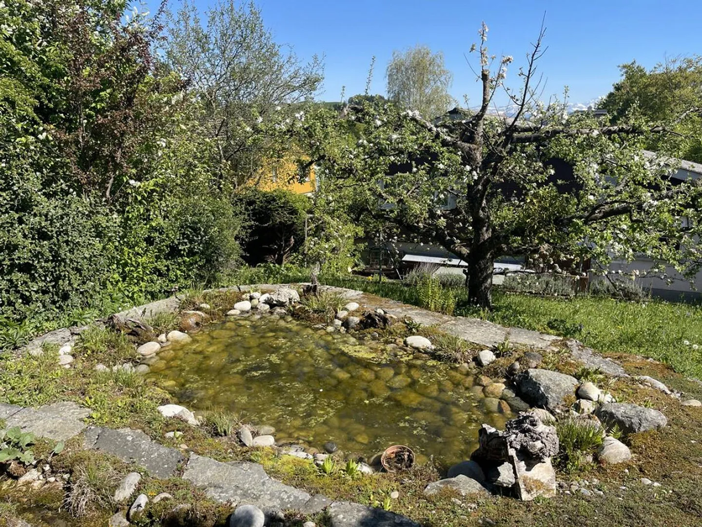 5.5-Room Single Family Home with Natural Garden and Panoramic View of the Bernese Alps - Photo 17 of 26