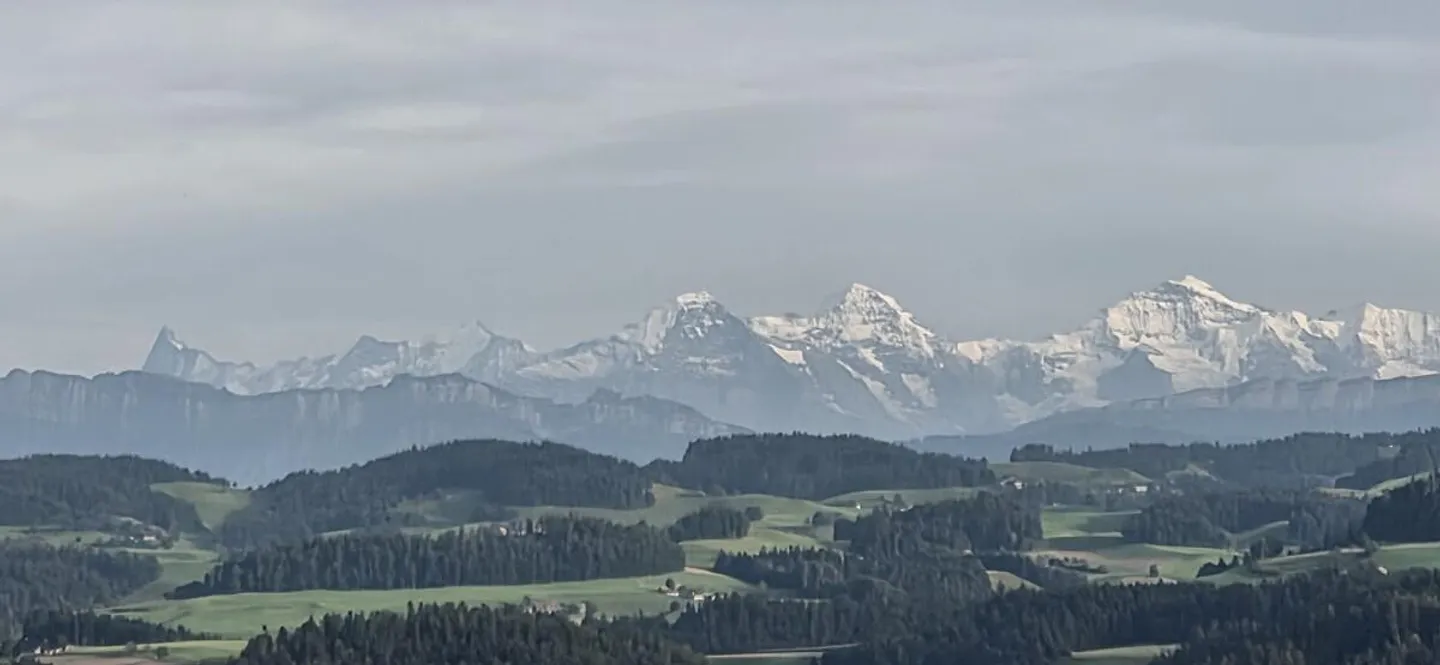 5.5-Room Single Family Home with Natural Garden and Panoramic View of the Bernese Alps - Photo 24 of 26