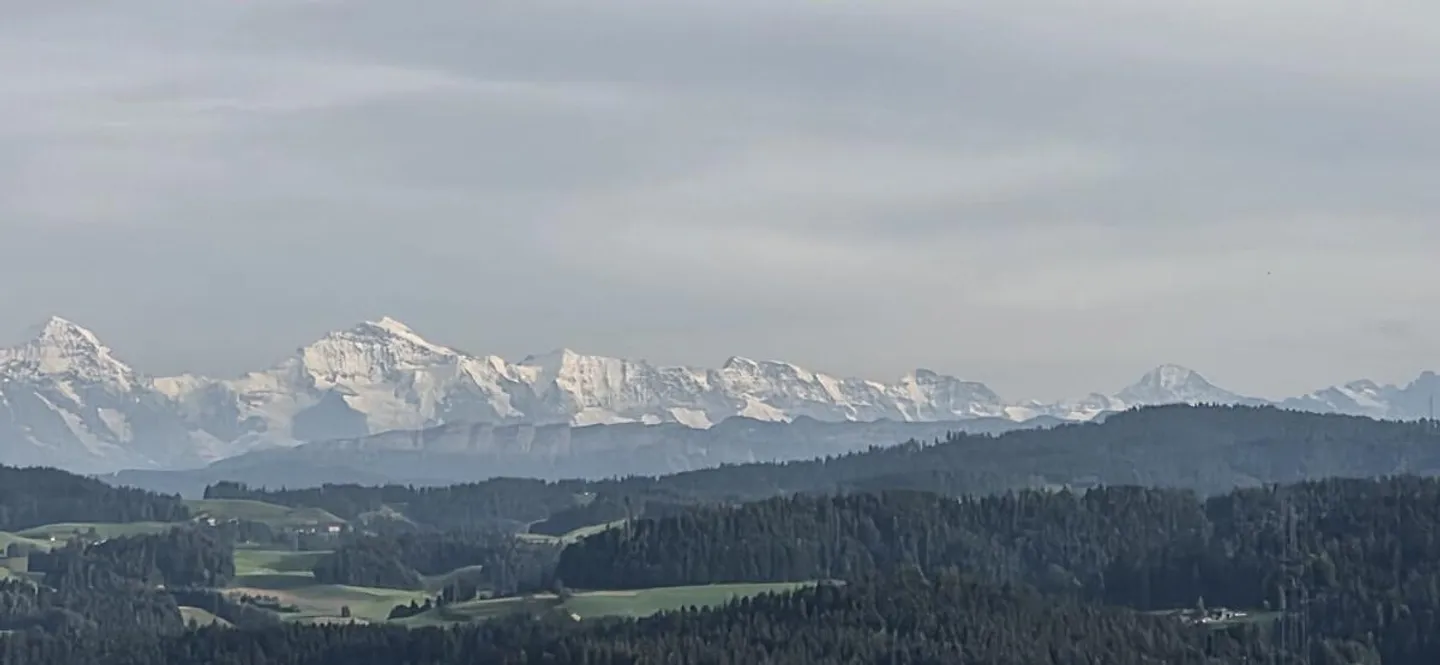 5.5-Room Single Family Home with Natural Garden and Panoramic View of the Bernese Alps - Photo 25 of 26