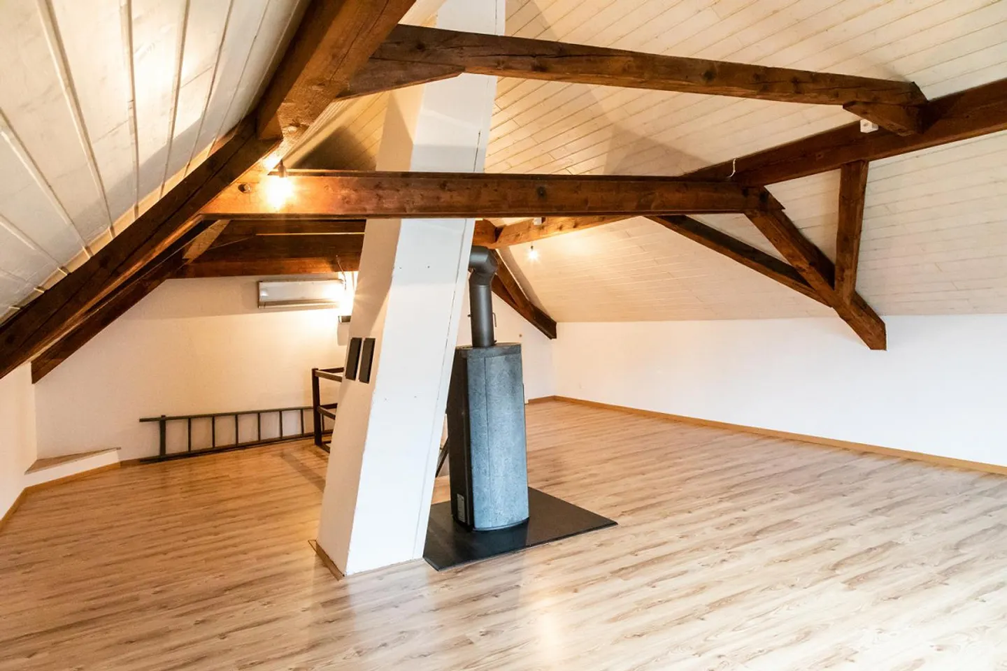 Dream Home on 2 Floors with Panoramic View of the Munot & Rhine - Photo 3 of 12