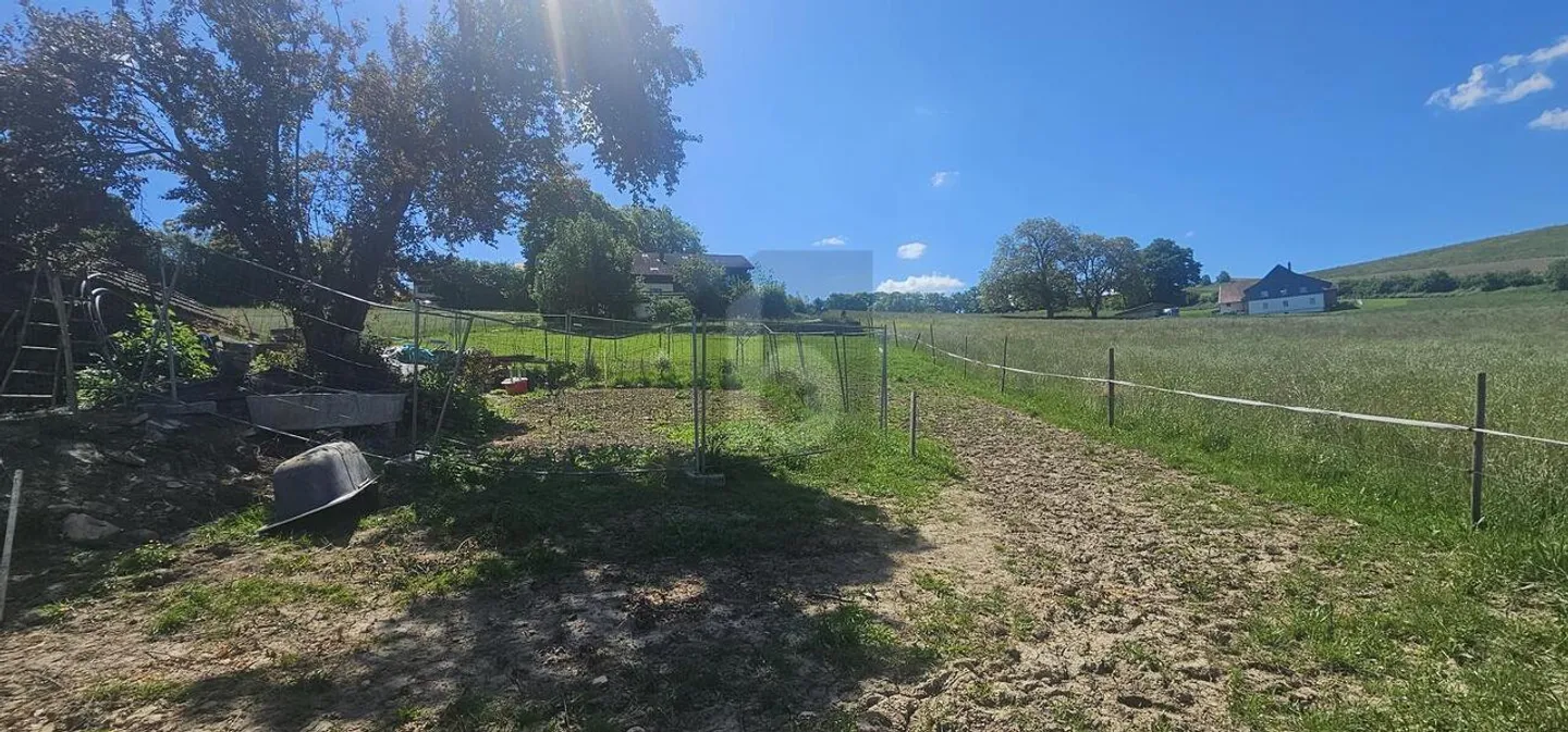 PREZZO ECCEZIONALE! DA SVILUPPARE IN UN Fienile - Foto 5 di 6