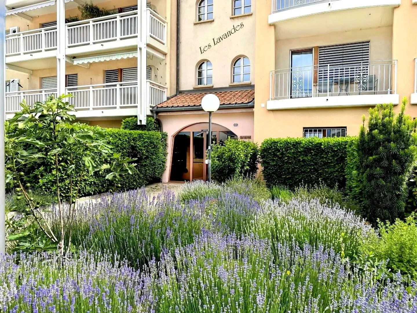 SAILLON (VS); Bellissimo appartamento duplex di 3,5 locali nel cuore delle terme di Saillon - Foto 4 di 13