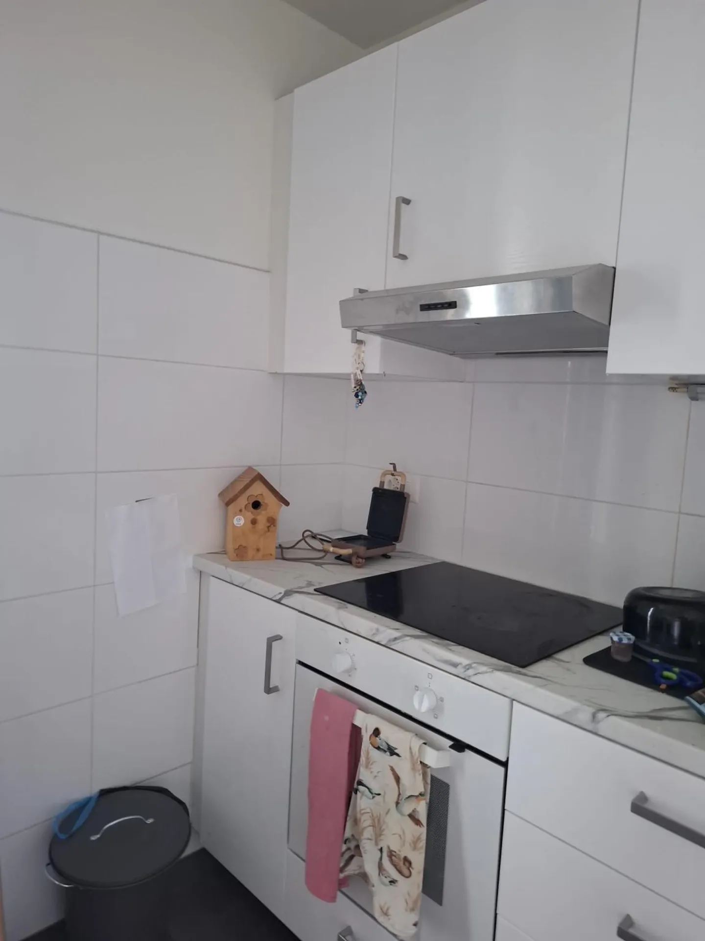 Bright Studio Apartment - Photo 3 of 4