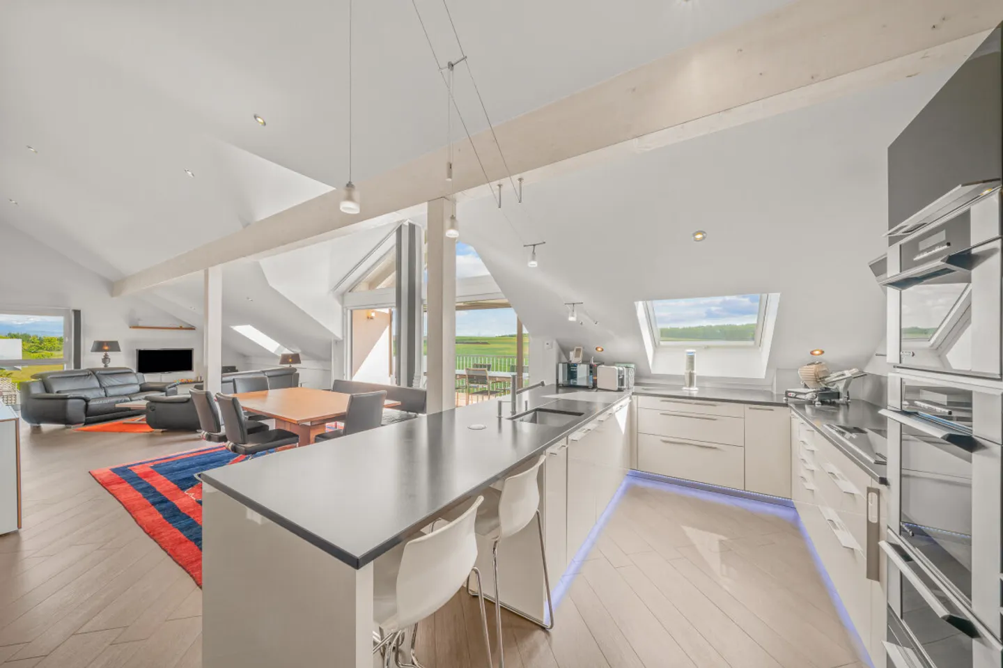 5.5-ROOM PENTHOUSE 5 MINUTES FROM NYON - Photo 4 of 7