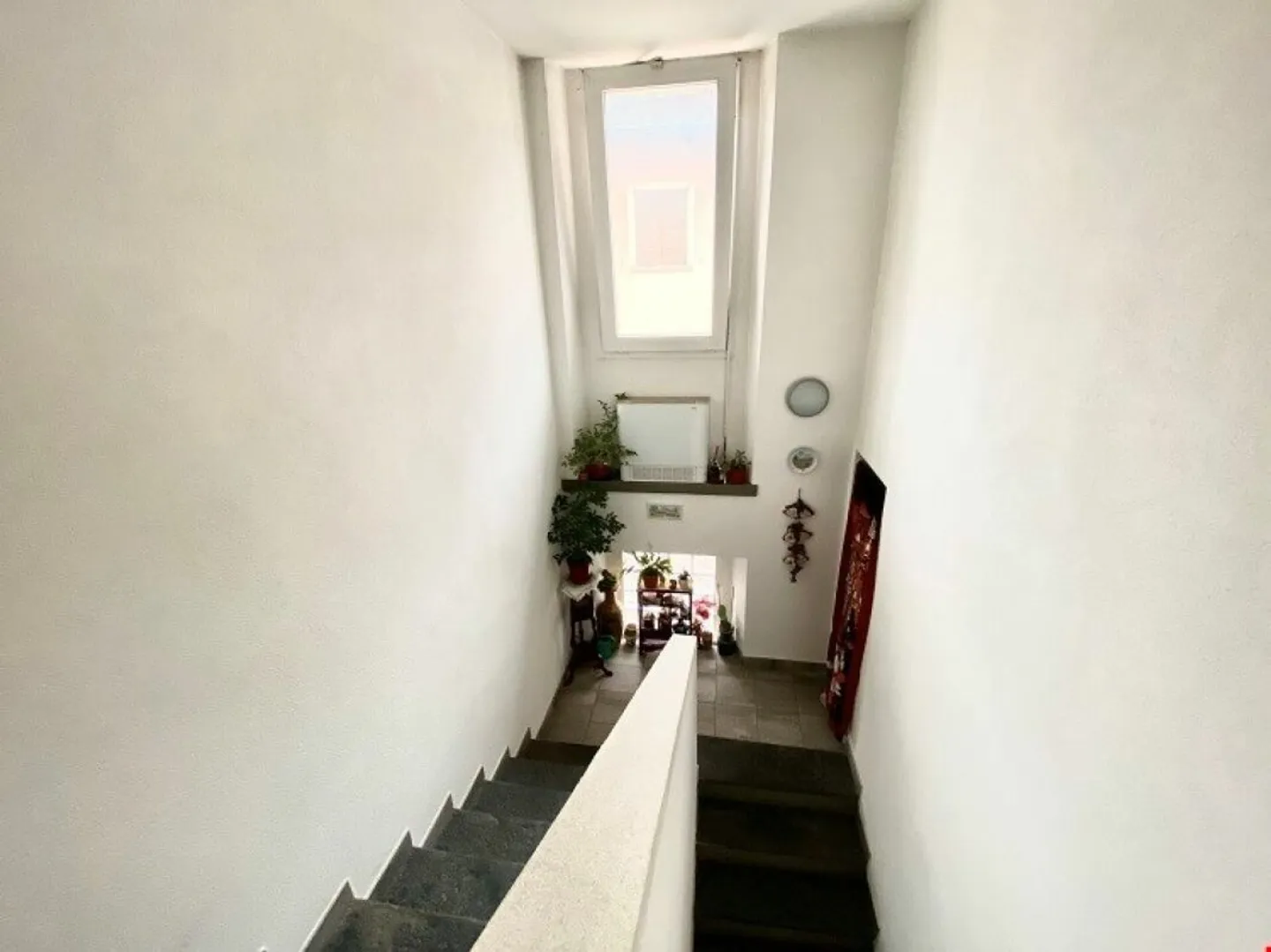 Casa unifamiliare ristrutturata in una posizione verde e tranquilla - Foto 4 di 11