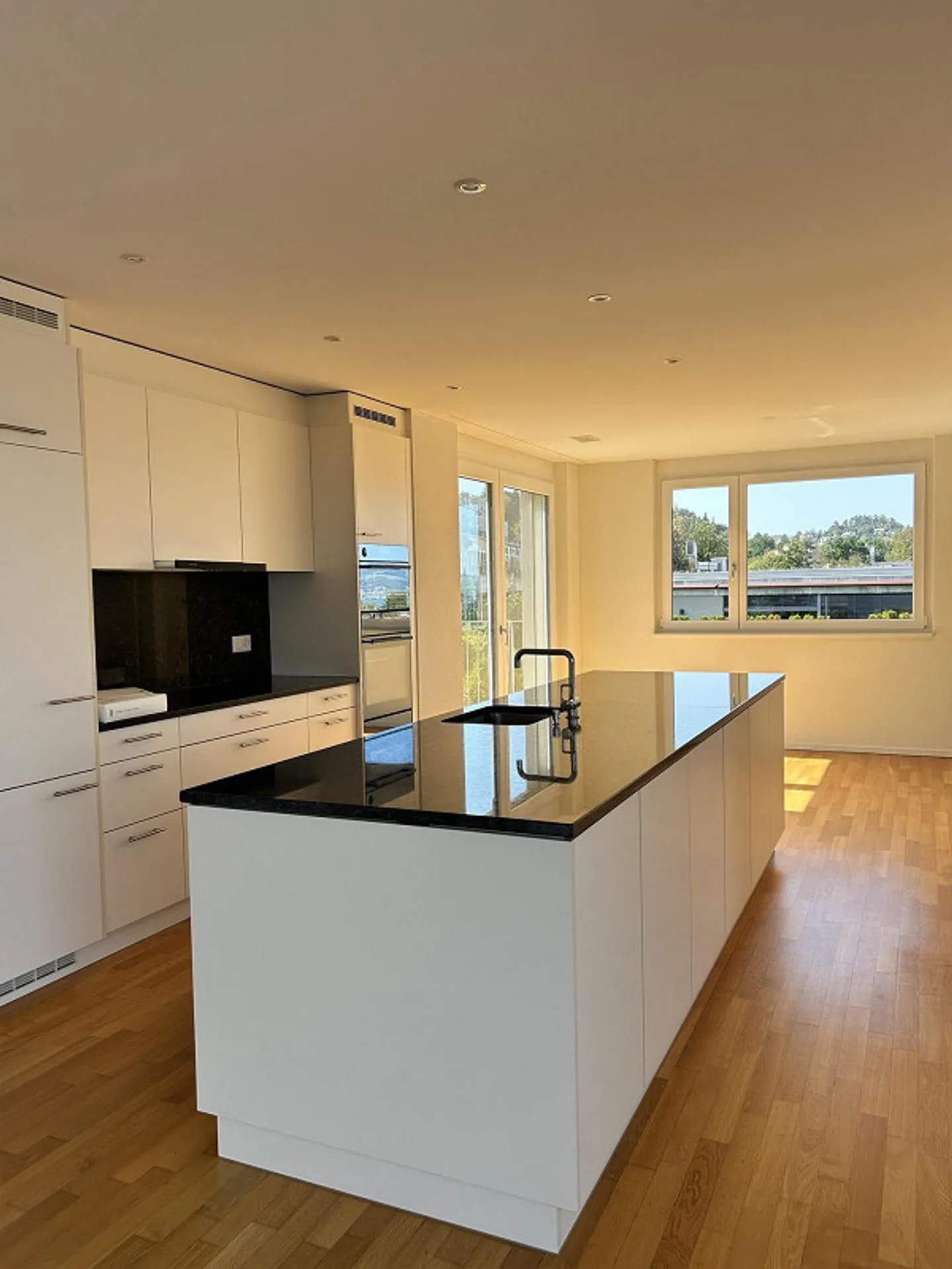 4.5 Room Apartment in Wädenswil (limited until 31.03.2028) - Photo 3 of 11