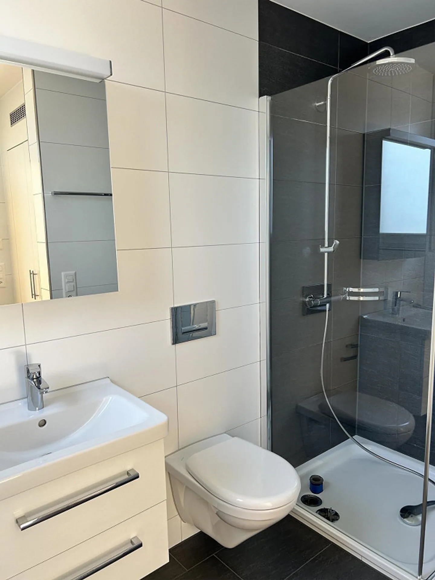 4.5 Room Apartment in Wädenswil (limited until 31.03.2028) - Photo 10 of 11