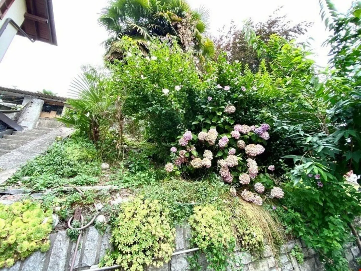 Casa unifamiliare ristrutturata in una posizione verde e tranquilla - Foto 11 di 11